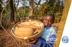 UN SDG 2 - Zero Hunger