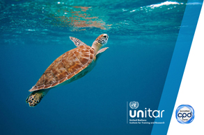 UN SDG 14 - Life Below Water