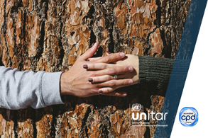 UN SDG 17 - Partnerships for the Goals