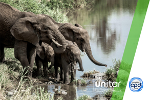 UN SDG 15 - Life On Land
